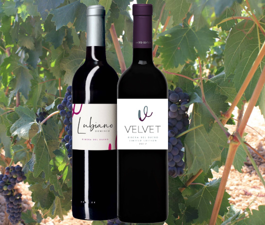 Velvety Wines, Dominio Lubiano, Ribera del Duero DO